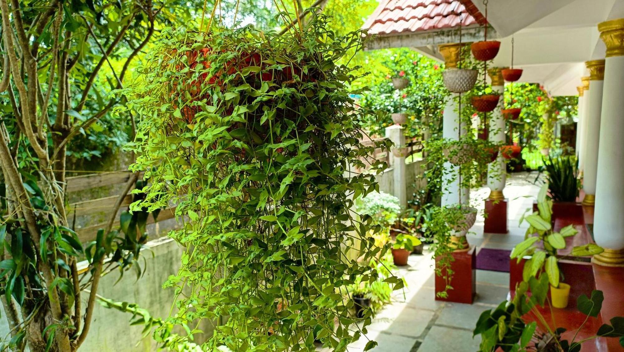 Homestay Marari Cleetus Mararikulam